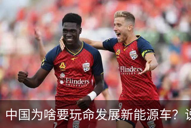 中国为啥要玩命发展新能源车？说句大实话，环保只是门面，石油不过是幌子，真正的原因就一条：再死磕燃油车，我们恐怕再追20年也只能跟跑